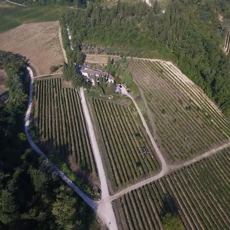 Lucciano Farm stay